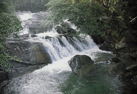 Ranmudu Ella waterfall surrounded by forest near Padukka